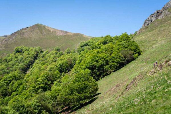 stage photo pays basque