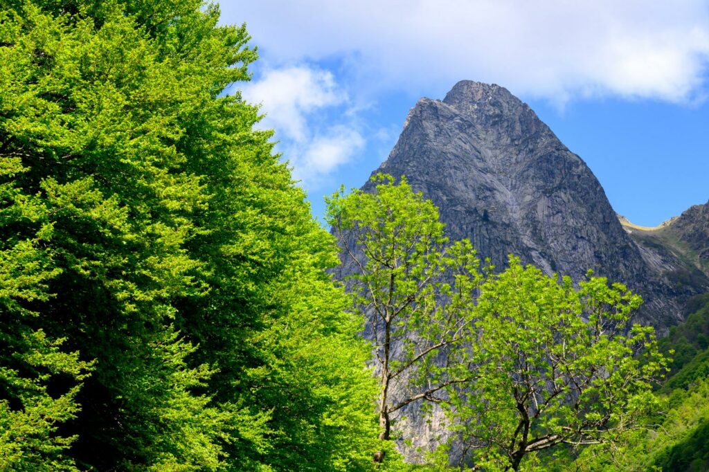 stage photo Vallée d'orlu