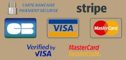 logo-payline-paiement-securise_copie_large logo-payline-paiement-securise_copie_large